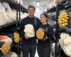 Cavalry FC midfielder Charlie Trafford and his sister Sya Trafford, co-founders of Trafford Farms show off some of the mushrooms they produce in this handout image. THE CANADIAN PRESS/HO-Charlie Trafford*MANDATORY CREDIT*