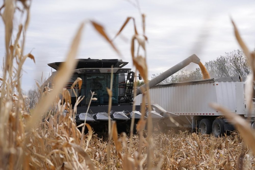 FILE - Martin Larsen transfers corn from his combine to a delivery truck, Oct. 18, 2024, in Oronoco, Minn. (AP Photo/Abbie Parr, File)