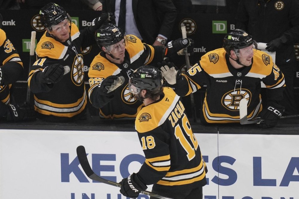 Boston Bruins center Pavel Zacha (18) is congratulated after his goal against the Florida Panthers during the third period of an NHL hockey game, Tuesday, March 11, 2025, in Boston. (AP Photo/Charles Krupa)