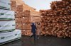 Conservative Leader Pierre Poilievre and his wife Anaida Poilievre arrive for a campaign stop at Western Forest Products Duke Point Sawmill, in Nanaimo, B.C., on Friday, March 28, 2025. THE CANADIAN PRESS/Darryl Dyck