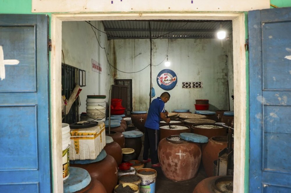 Phan Cong Quang makes fish sauce in his home in Nam O fishing village on March 4, 2025, in Da Nang, Vietnam. (AP Photo/Yannick Peterhans)