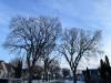 Russell Wangersky/Free Press
                                Winnipeg has a housing resource that could be better used: older homes in established neighbourhoods with renovation potential.
