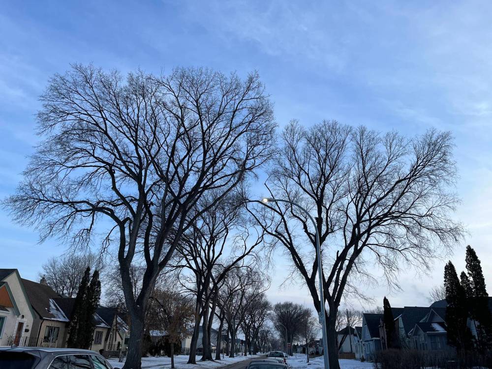 Russell Wangersky/Free Press
Winnipeg has a housing resource that could be better used: older homes in established neighbourhoods with renovation potential.