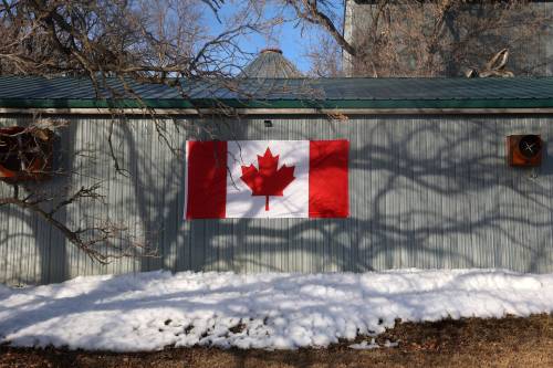 TIM SMITH / THE BRANDON SUN FILES
                                A Canadian flag is see affixed to the side of a barn along Grand Valley Road west of Brandon on Thursday. In the wake of U.S. tariffs against Canada and comments by President Donald Trump about Canada becoming the 51st state, Canadian flags and other displays of patriotism have been much more visible in Brandon and across the country. (Tim Smith/The Brandon Sun)