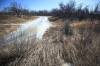 Ruth Bonneville / Free Press
                                The 60-acre property that includes the 20-acre Sumka Forest has been purchased by real estate developer Qualico.