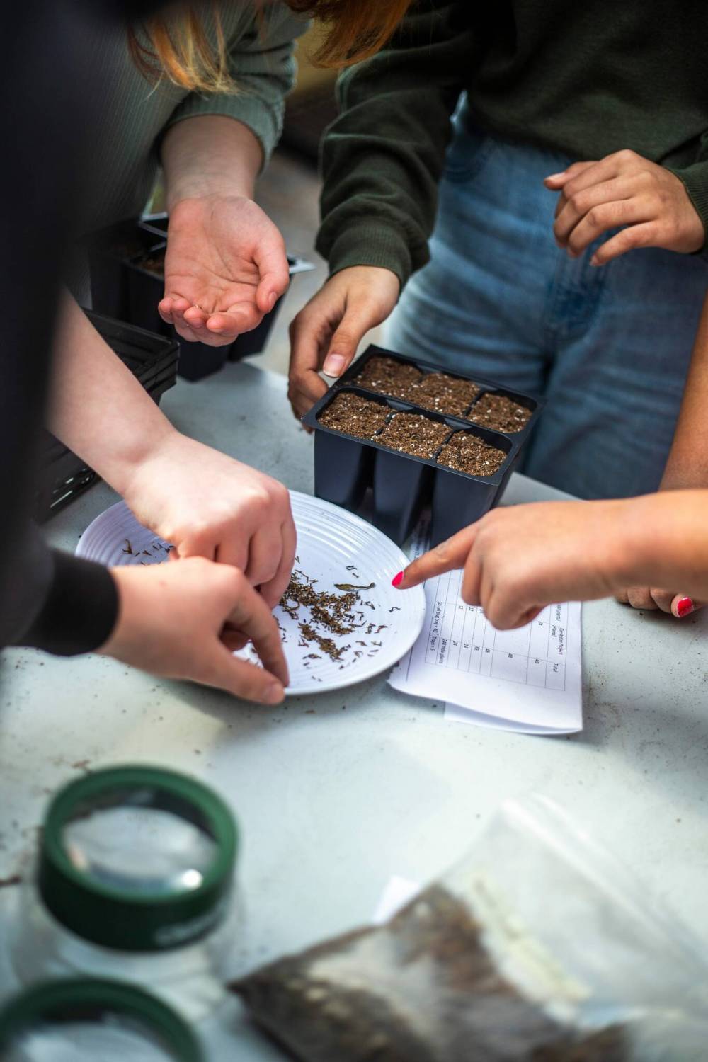 MIKAELA MACKENZIE / FREE PRESS FILES
Every school in Seven Oaks has a dedicated climate action leader and half of them already have student-led environmental groups, said Heather Eckton, a teacher who oversees climate action projects in 28 schools in north Winnipeg.