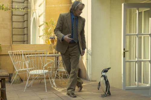 Sony Pictures Classics
                                Teacher Tom (Steve Coogan) adopts a penguin and learns a thing or two during the 1976 military overthrow of Argentina&rsquo;s government.