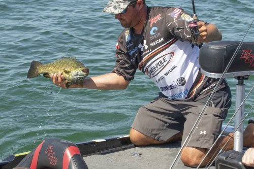 Cory Johnston catches a smallmouth bass in this undated handout photo. Canadian Cory Johnston will chase a first $US1-million Bassmaster Classic title Sunday. THE CANADIAN PRESS/HO, Steve Bowman, Bassmaster *MANDATORY CREDIT*