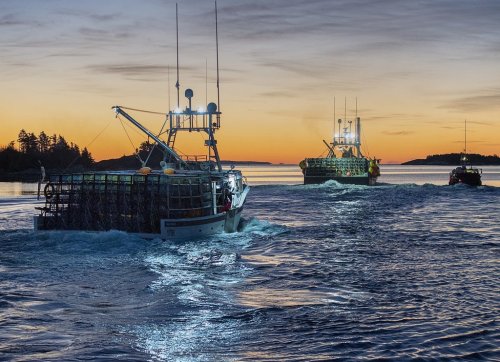 Boats loaded with traps head from the harbour in West Dover, N.S. on Nov. 30, 2020, as the lucrative lobster fishing season on Nova Scotia's South Shore opens. THE CANADIAN PRESS/Andrew Vaughan