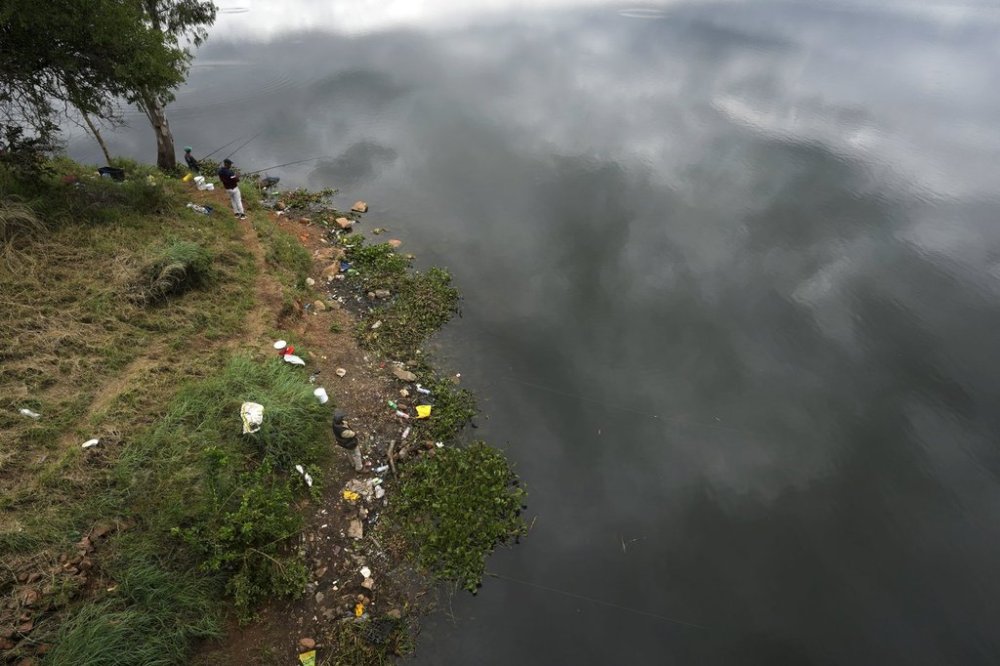 Community members fish along the Hartbeespoort Dam in South Africa, on March 17, 2025, near Hyacinth plants in the water. (AP Photo/Themba Hadebe)