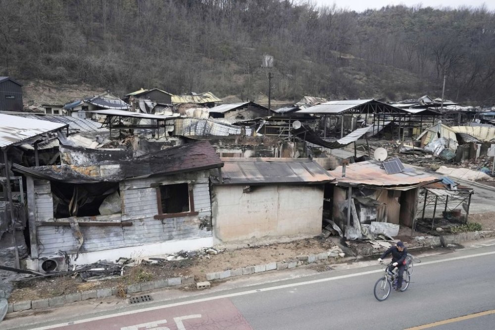 A resident passes by burnt-out houses at a damaged village due to wildfires in Andog, South Korea, Friday, March 28, 2025. (AP Photo/Ahn Young-joon)