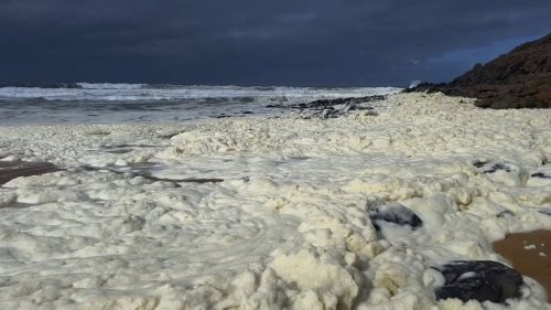 This image made from video provided by Australian Broadcasting Corp., shows foam washing up on beach Monday, March 17, 2025, in Waitpinga, near Adelaide. (Australian Broadcasting Corp via AP)