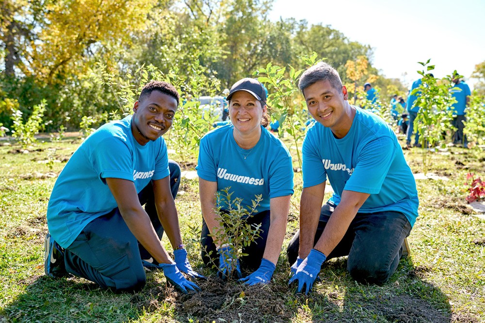 Employees at Wawanesa take part in the organization’s annual tree planting initiative in Winnipeg.