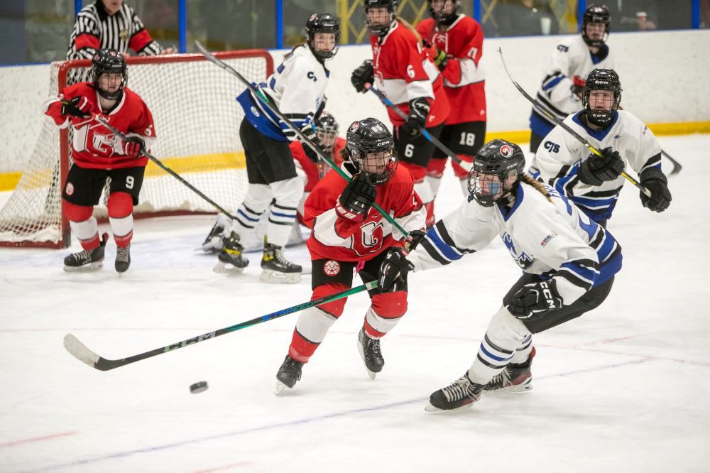 BROOK JONES/FREE PRESS
Olympiens forward Claire Fraser (right) reaches for the puck as Lions forward Neve Halpenny locks her focus on Fraser during the second period.