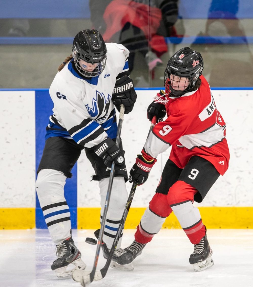 BROOK JONES/FREE PRESS
Lions forward Ashley Antunes (right) collides with an Olympiens player during third period action.