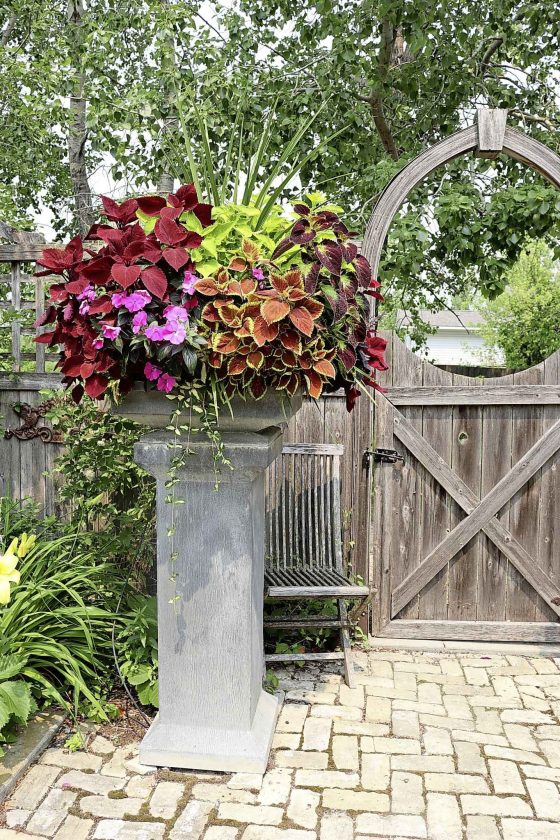 Create a scene: planter on pedestal, John Tinkler's garden (Colleen Zacharias photo)