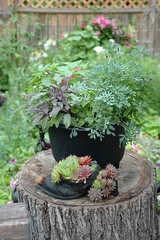 (Teresa Lopata photo)