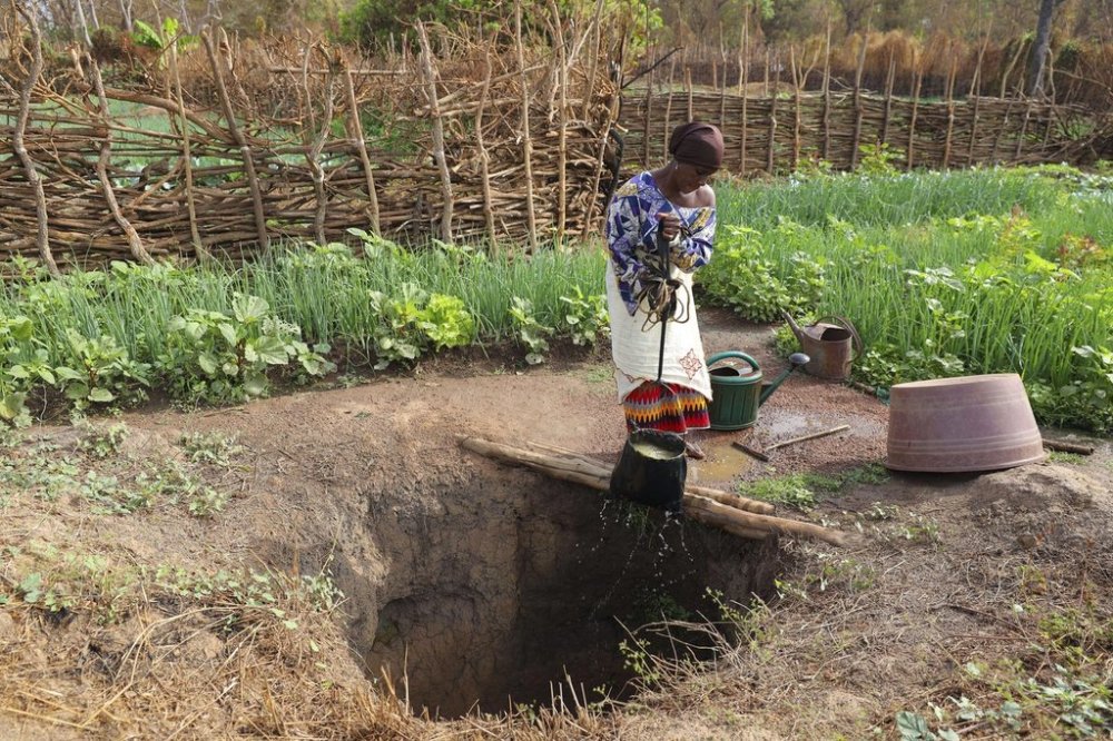 FILE - Mariatou Doumbia, a member of a women's group, draws water from a well on a farm that was funded by USAID in Kimbirila-Nord, Ivory Coast, Feb. 21, 2025. (AP Photo/Misper Apawu, File)