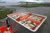 In this March 23, 2015 file photo, full-sized geoduck clams are kept fresh in sea water before being transported after being harvested for Taylor Shellfish Farms near Harstine Island, Wash., in Puget Sound. THE CANADIAN PRESS/AP-Ted S. Warren