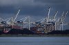 Piles of coal awaiting export and gantry cranes used to load and unload containers onto and from cargo ships are seen at Deltaport, in Tsawwassen, B.C., on September 9, 2024. THE CANADIAN PRESS/Darryl Dyck