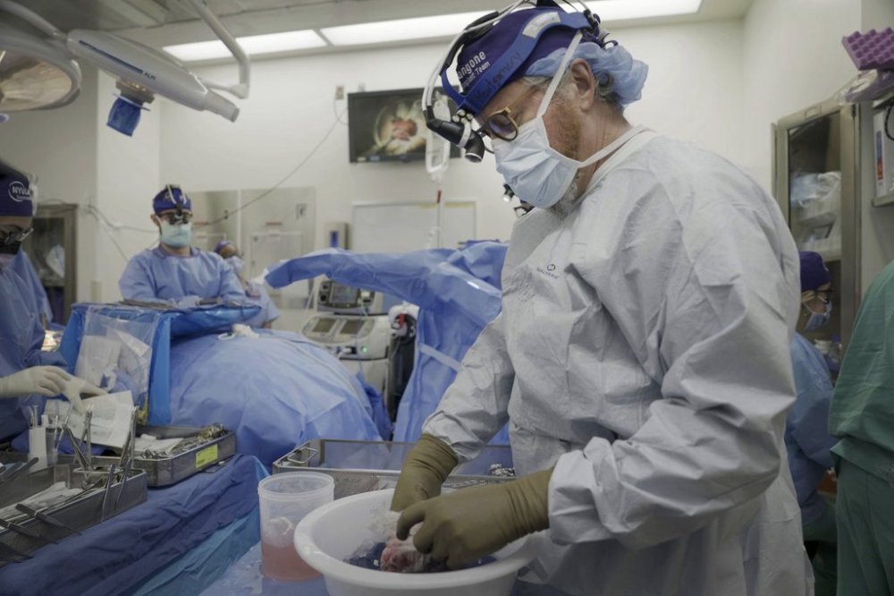 FILE - Dr. Robert Montgomery, director of NYU Langone's transplant institute, prepares a pig kidney for transplant into a brain-dead man in New York, July 14, 2023. (AP Photo/Shelby Lum, File)