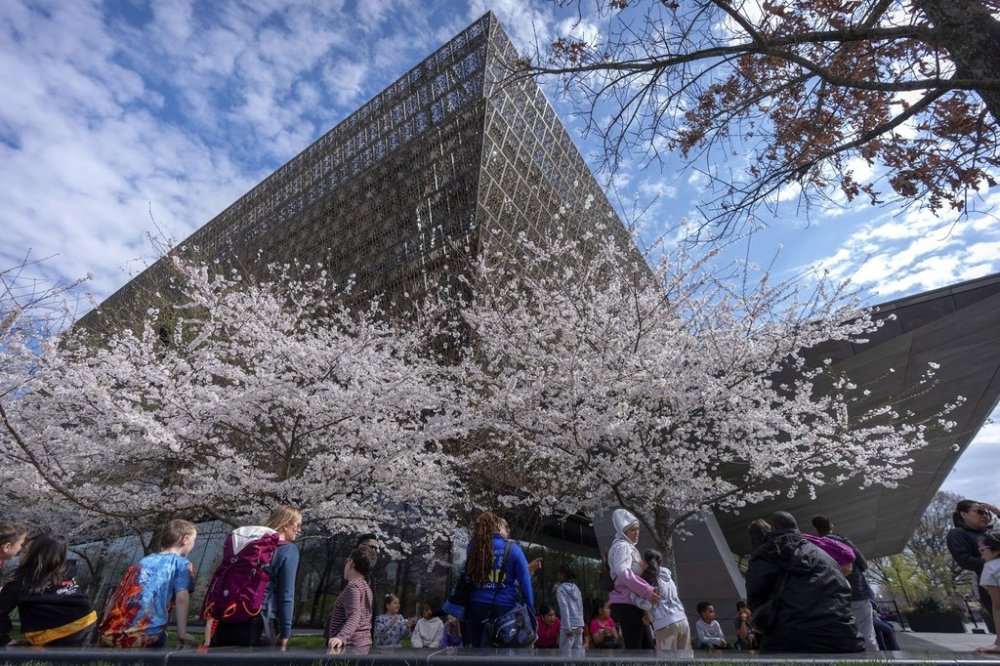 FILE - The National Museum of African American History and Culture on the National Mall is seen on Friday, March 28, 2025, in Washington. (AP Photo/Mark Schiefelbein, File)