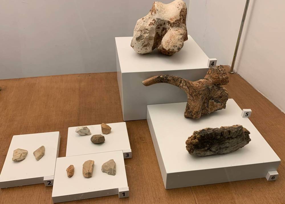 Pam Frampton photo
Primitive tools developed by Neanderthals between 10,000 and 40,000 years ago, and the bones of hippo, deer and horse.