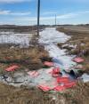 SUPPLIED
                                Signs for Liberal candidate Trevor Kirczenow found strewn in a ditch along the Trans-Canada Highway.