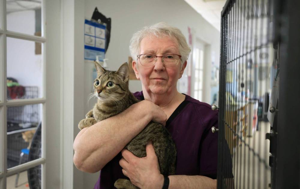 RUTH BONNEVILLE / FREE PRESS
Lynne Scott is closing the non-profit cat shelter because they can’t afford to stay in business anymore.