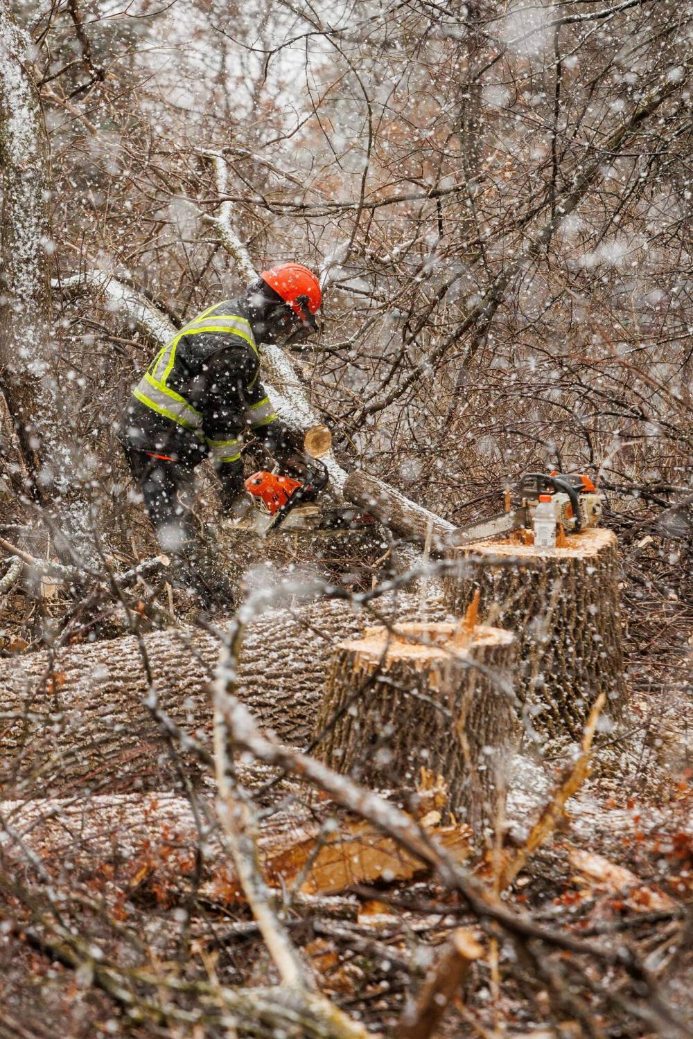 MIKE DEAL / FREE PRESS
A small crew cuts down trees in the Lemay forest on Monday. The Manitoba Municipal Board has upheld the City of Winnipeg decision to reject a controversial development for the privately owned land.