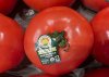 FILE - Tomatoes imported from Mexico are for sale in a supermarket in Miami as the United States imposed 25% tariffs on goods from Canada and Mexico, starting a trade war with its closest neighbors and allies Wednesday, March 5, 2025. (AP Photo/Lynne Sladky, File)