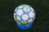 A game ball for the Canadian Premier League is seen during a match between York United FC and Forge Hamilton FC in CPL soccer action at York Lions Stadium in Toronto on Friday, July 30, 2021. THE CANADIAN PRESS/ Tijana Martin