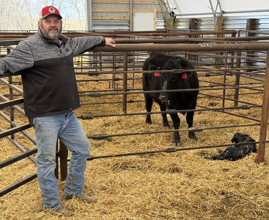 In this undated image provided by Brett Kenzy, rancher Brett Kenzy stands next to the calf he helped deliver and its mom not long after the birth on his ranch near Gregory, S.D. (Brett Kenzy via AP)