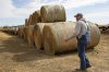 Jared Bossly walks past feed on his ranch in Mansfield, S.D., on Tuesday, March 11, 2025, in one of the counties that a proposed Summit Carbon Solutions pipeline would cut through. (AP Photo/Nicole Neri)