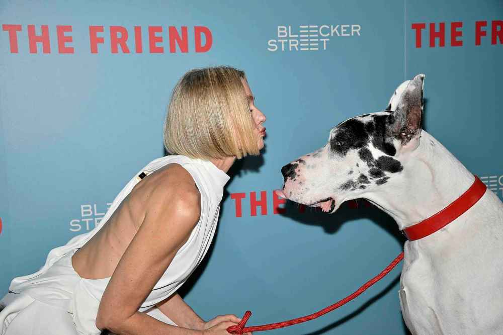 Naomi Watts and Bing the Great Dane attend the premiere of