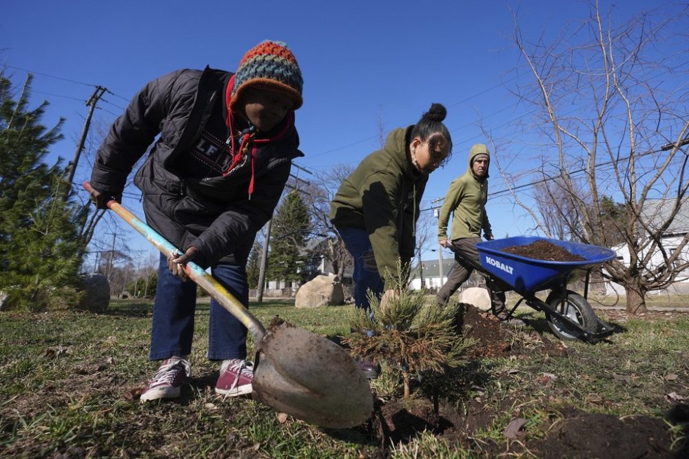 Robyn Redding, from left, and Gianna Holliday plant a sequoia tree seedling as Andrew