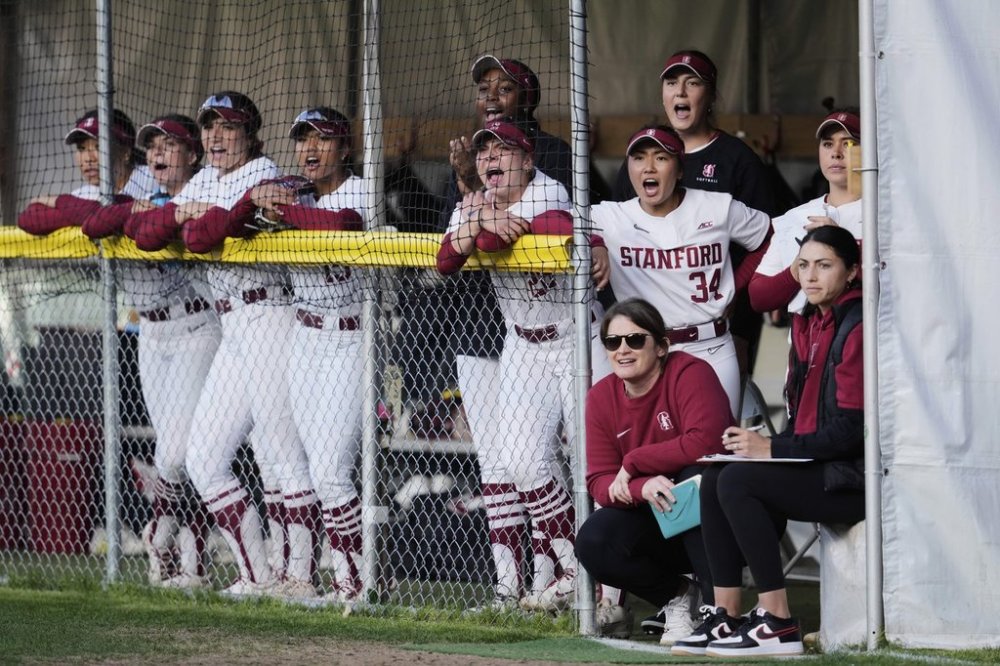 Stanford players cheer from their dugout during the first inning of an NCAA college softball game against California, Thursday, April 17, 2025, in Stanford, Calif. (AP Photo/Godofredo A. Vásquez)