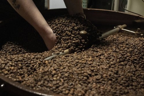 Renee Colon lifts coffee beans from the cooling tray of a roasting machine at Fuego Coffee Roasters' roasting facility in Rochester, N.Y., Friday, March 21, 2025. (Max Conway via AP)