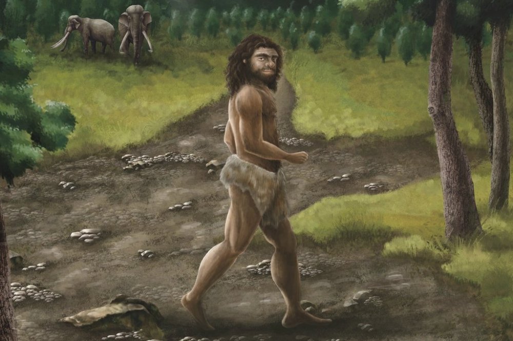 This illustration provided by researchers in April 2025 depicts a Denisovan male in Taiwan in the Pleistocene era about 2.6 million to 11,700 years ago. (Cheng-Han Sun via AP)