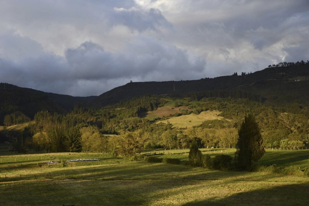 This image provided by William Usaquen and Andrea Casas-Vargas shows the high plains in Bogota, Colombia where a new group of humans lived 6,000 years ago. (William Usaquen, Andrea Casas-Vargas via AP)