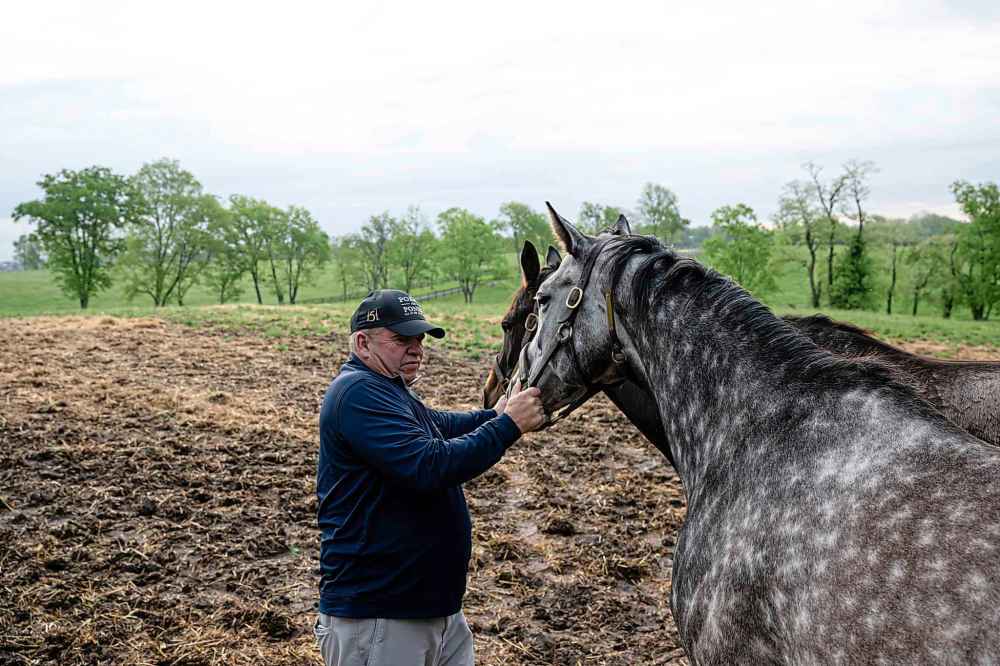 Frank Taylor guides mares away from an open gate on Tuesday, May 6, 2025, in Nicholasville, Ky. (AP Photo/Jon Cherry)