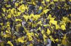 America fans celebrate their side's opening goal against Pachuca during the Mexican women's soccer league second leg final match against Pachuca, in Mexico City, Monday, May 12, 2025. (AP Photo/Eduardo Verdugo)