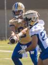 MIKE DEAL / FREE PRESS
                                Winnipeg Blue Bombers quarterback Zach Collaros (left) ran drills during the first day of rookie camp Wednesday. He said the club has been in his corner since the league levied the suspension against him.