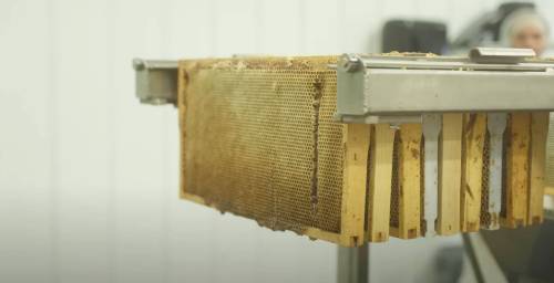 Farmer’s YouTube videos about bees creating a buzz