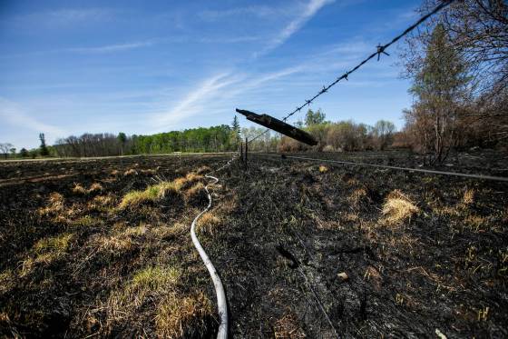 The very edge of JoAnne Hirst's property where the fire burned fences, grass and trees in Lac du Bonnet. (Mikaela MacKenzie / Free Press)