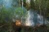 David Lipnowski / The Canadian Press files
                                A wildfire northeast of Lac du Bonnet is now under control, the RM of Lac du Bonnet said Tuesday.