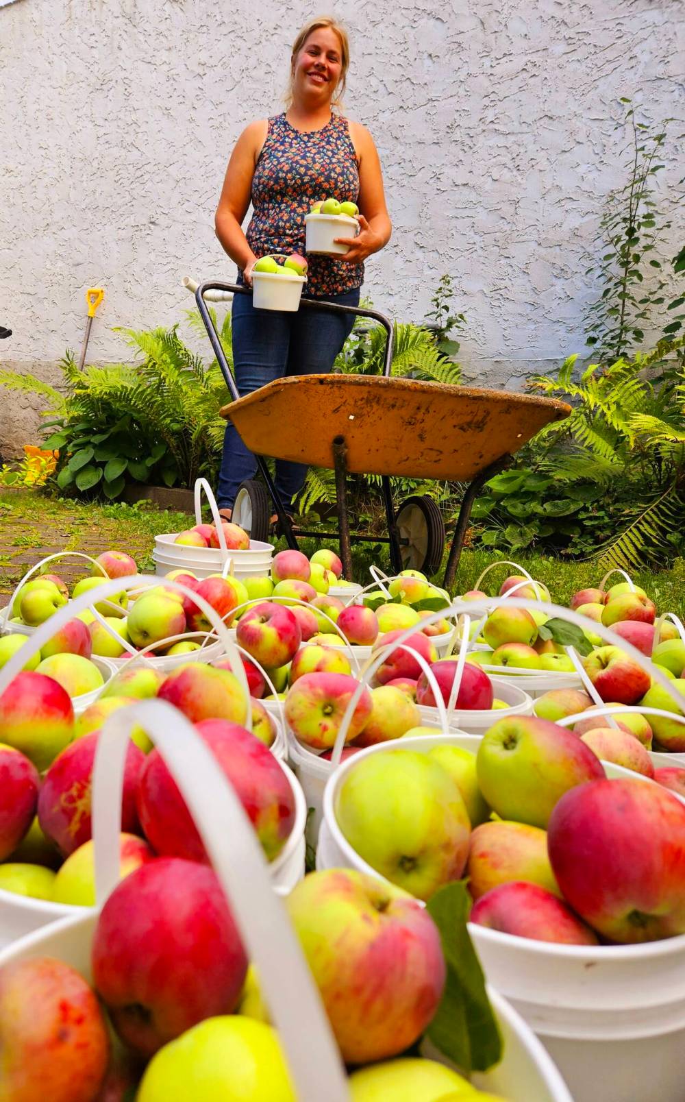 Prairie Gardens Tree Nursery
Try growing your own bounty of Canadian-bred apples.