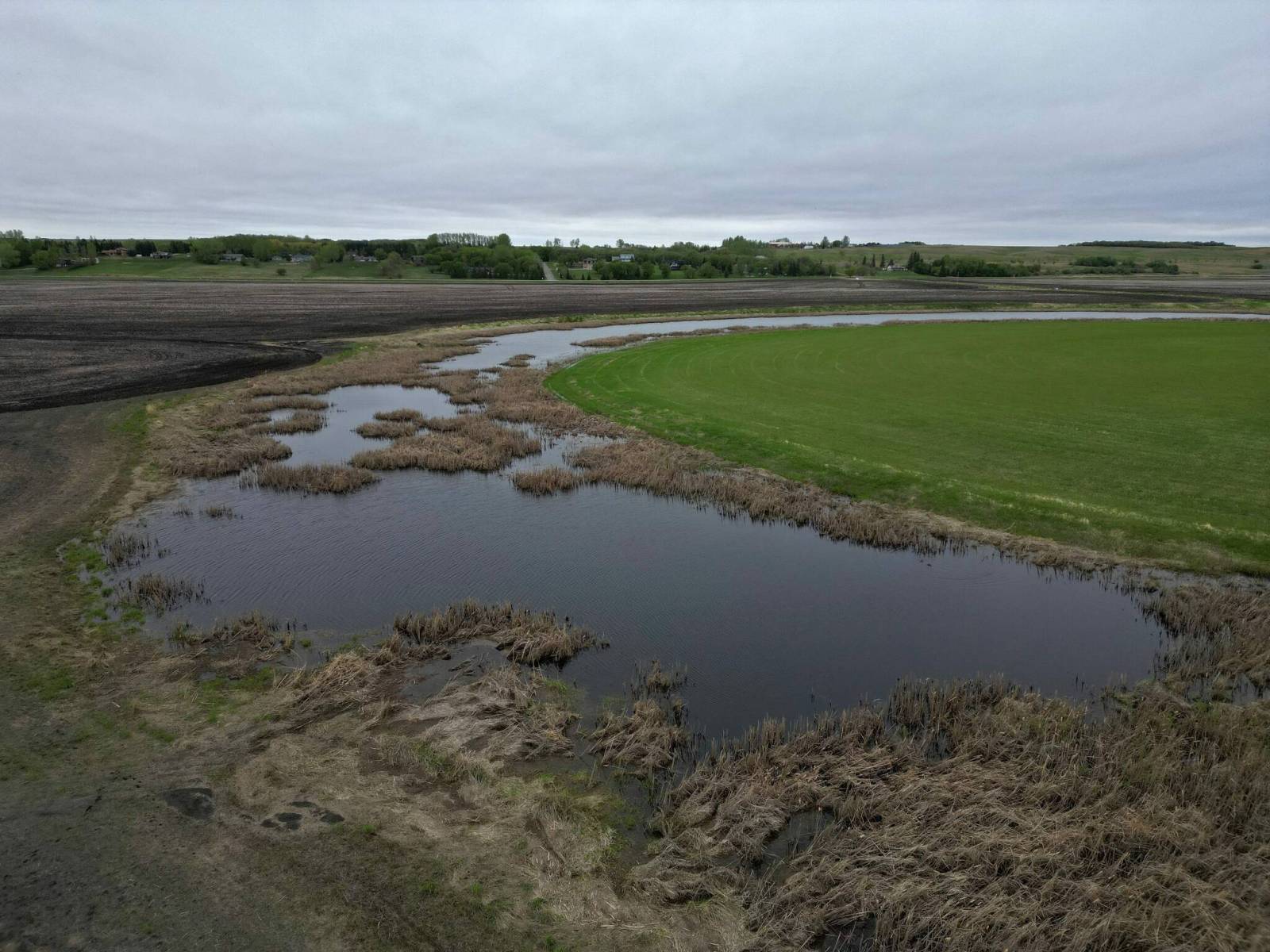 Provincial seeding progress ahead of 5-year average despite rain delay ...