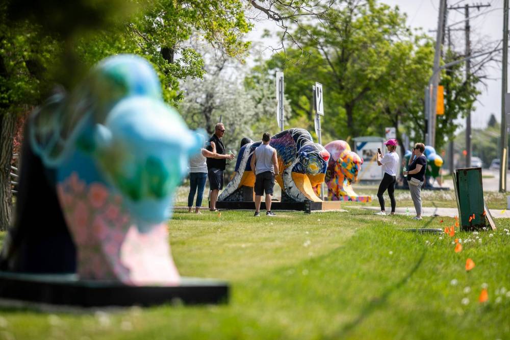 MIKAELA MACKENZIE / FREE PRESS
                                The Bison on the Boulevard installation features 26 bison sculptures painted by local artists and stationed along a stretch of Roblin Boulevard and is meant to raise awareness and funds for children affected by abuse.