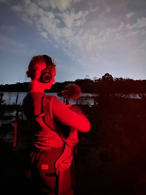 SUPPLIED
Jami Reimer’s Soft Tongues features her amphibian recordings in Brazil mixed with her own voice and archived recordings of extinct frog species.